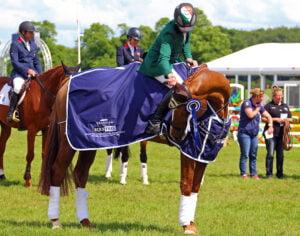 Fenyas Elegance