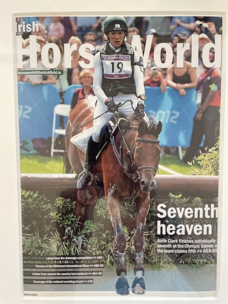 Irish Field Article