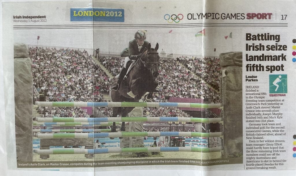 Irish Independent Article